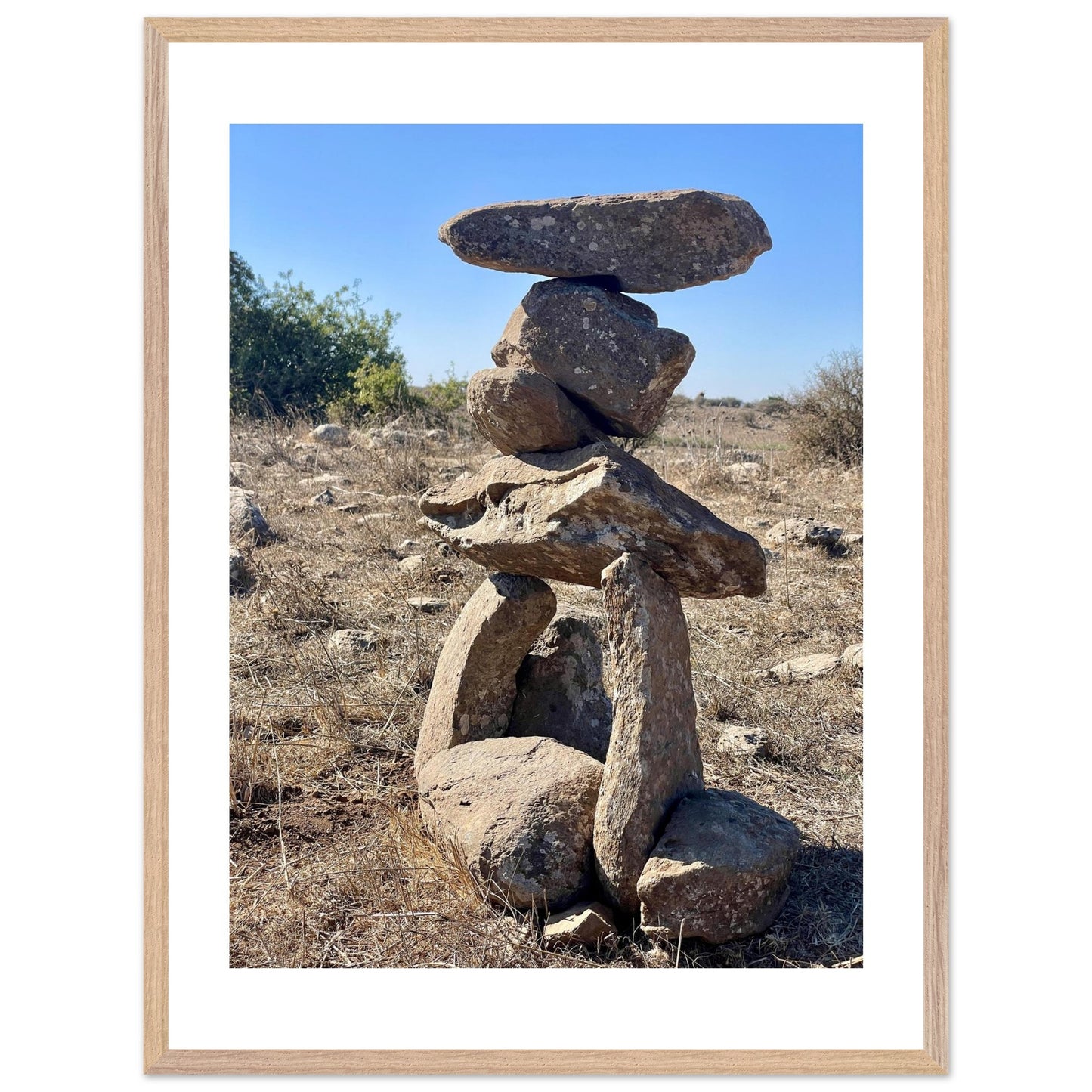 20b421b7-8f55-428b-92d5-f8153af5ba4a