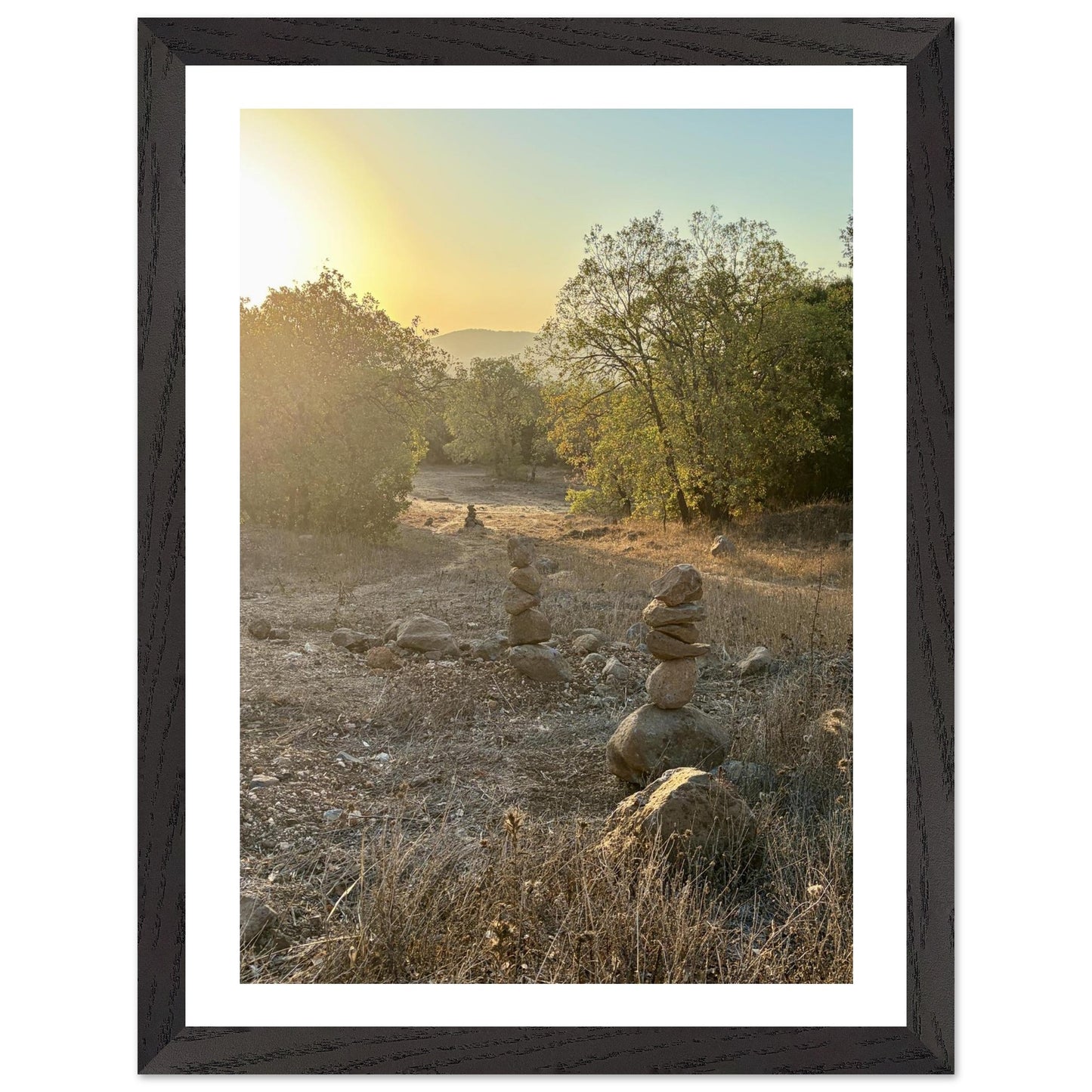 3c14ba65-541a-46e4-af5d-7b861293922f