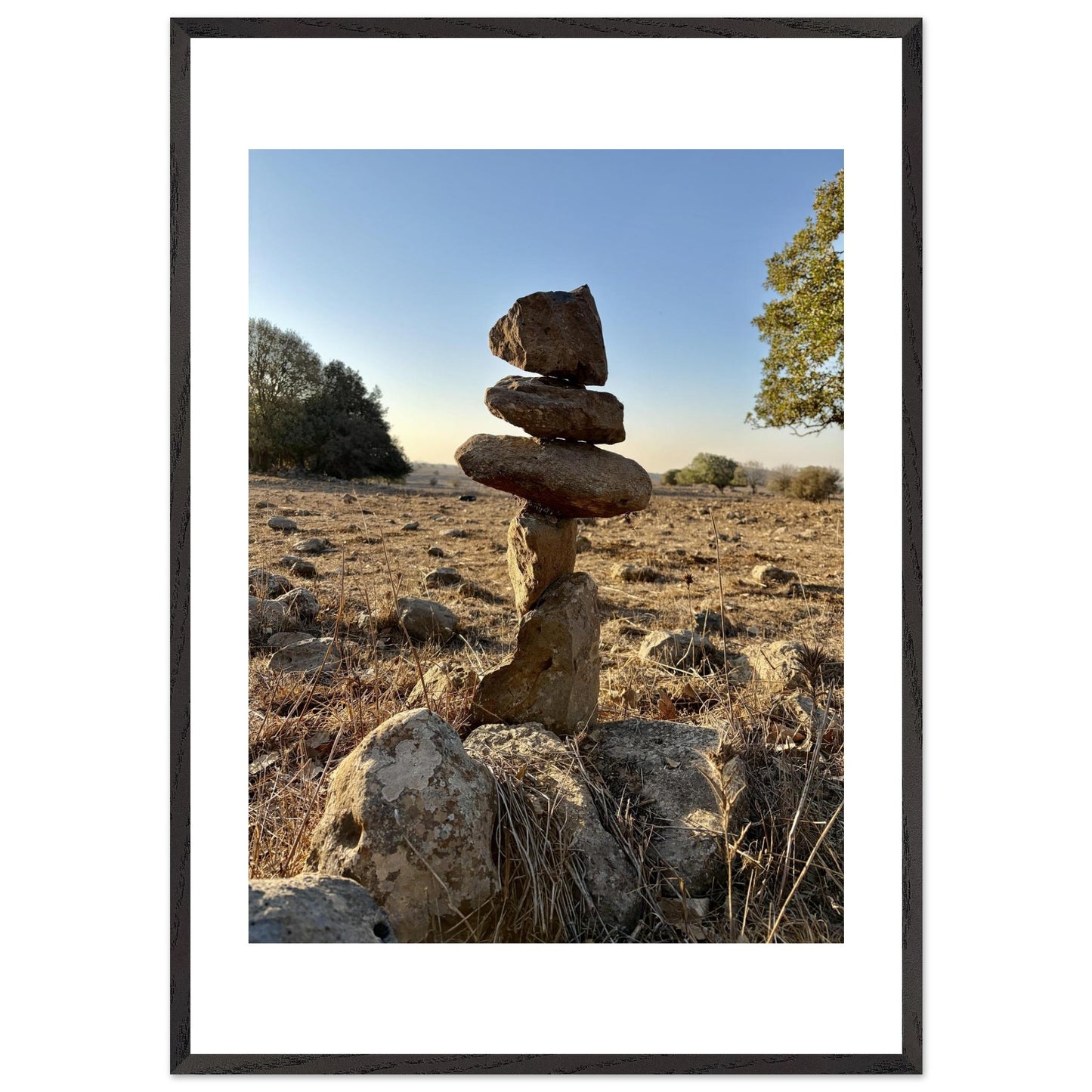 48ecc3d5-e952-4ac3-870f-897e9cc2c916