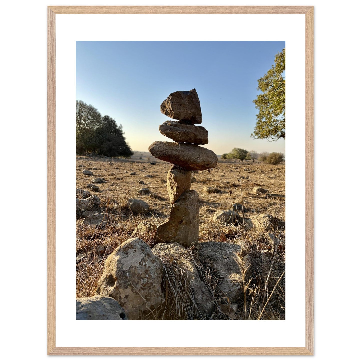 55d6f072-e92c-4187-858f-6de1db6dd47b