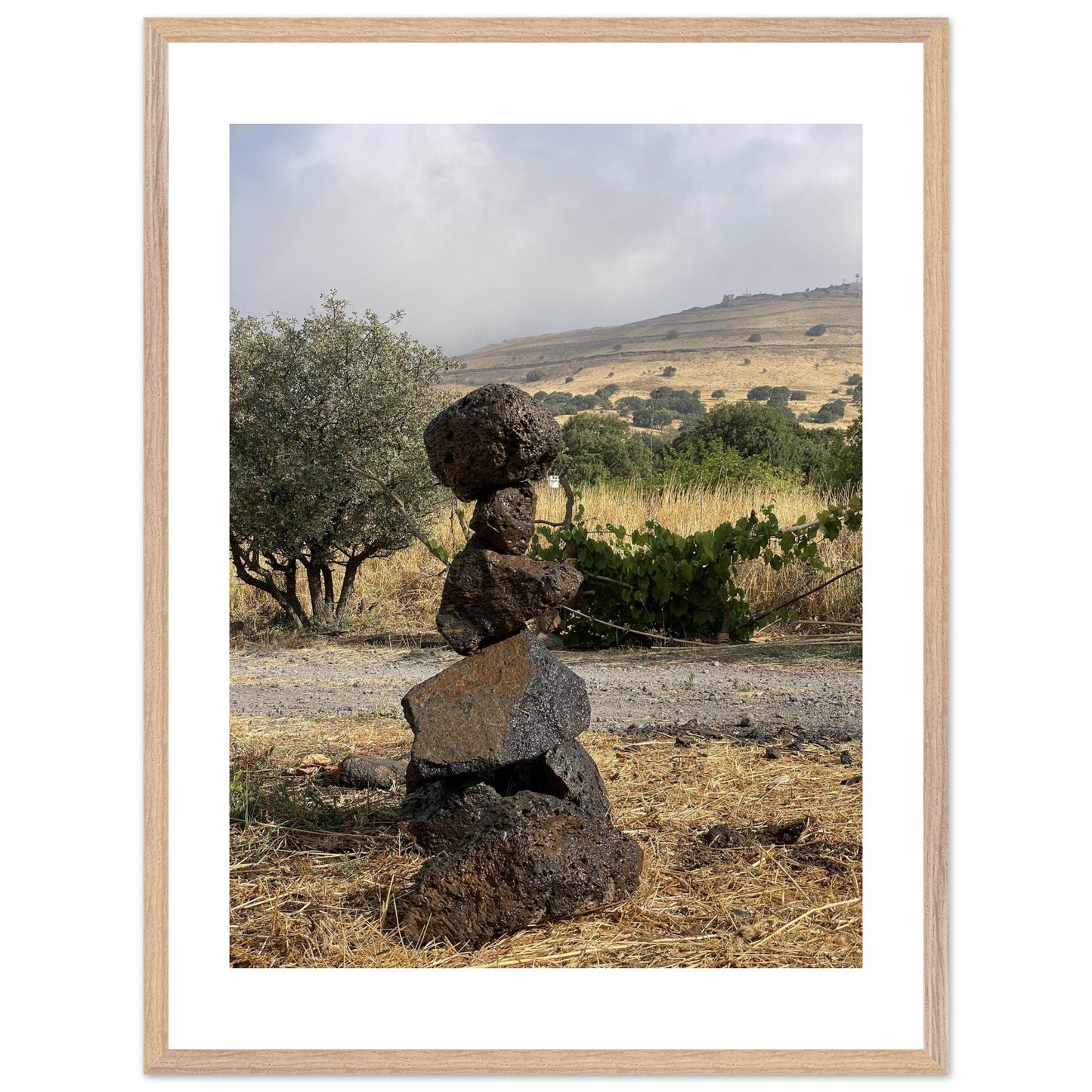 592a4949-94d5-4702-938b-99704d7c411d