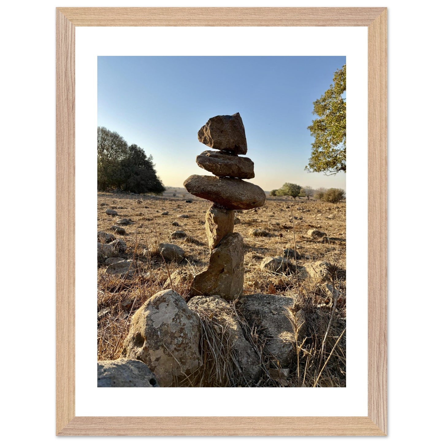 5d674d0d-c858-4048-a374-9a91d91a818d