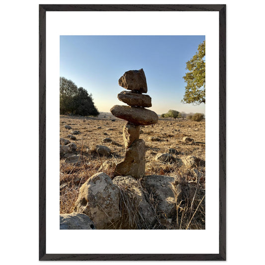 67fc6b93-9f76-4b7a-9248-3bd52f641723