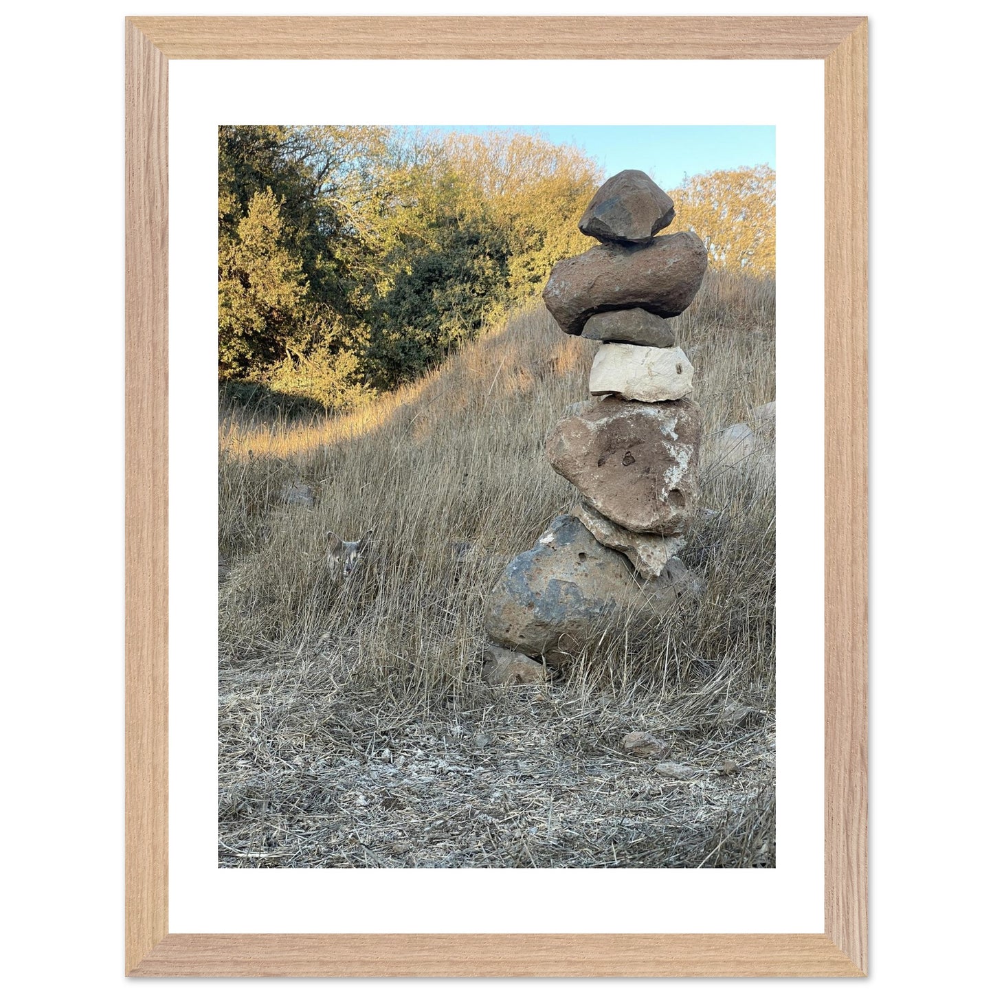 69105755-a77f-428f-93f5-ca3a2e2d7943