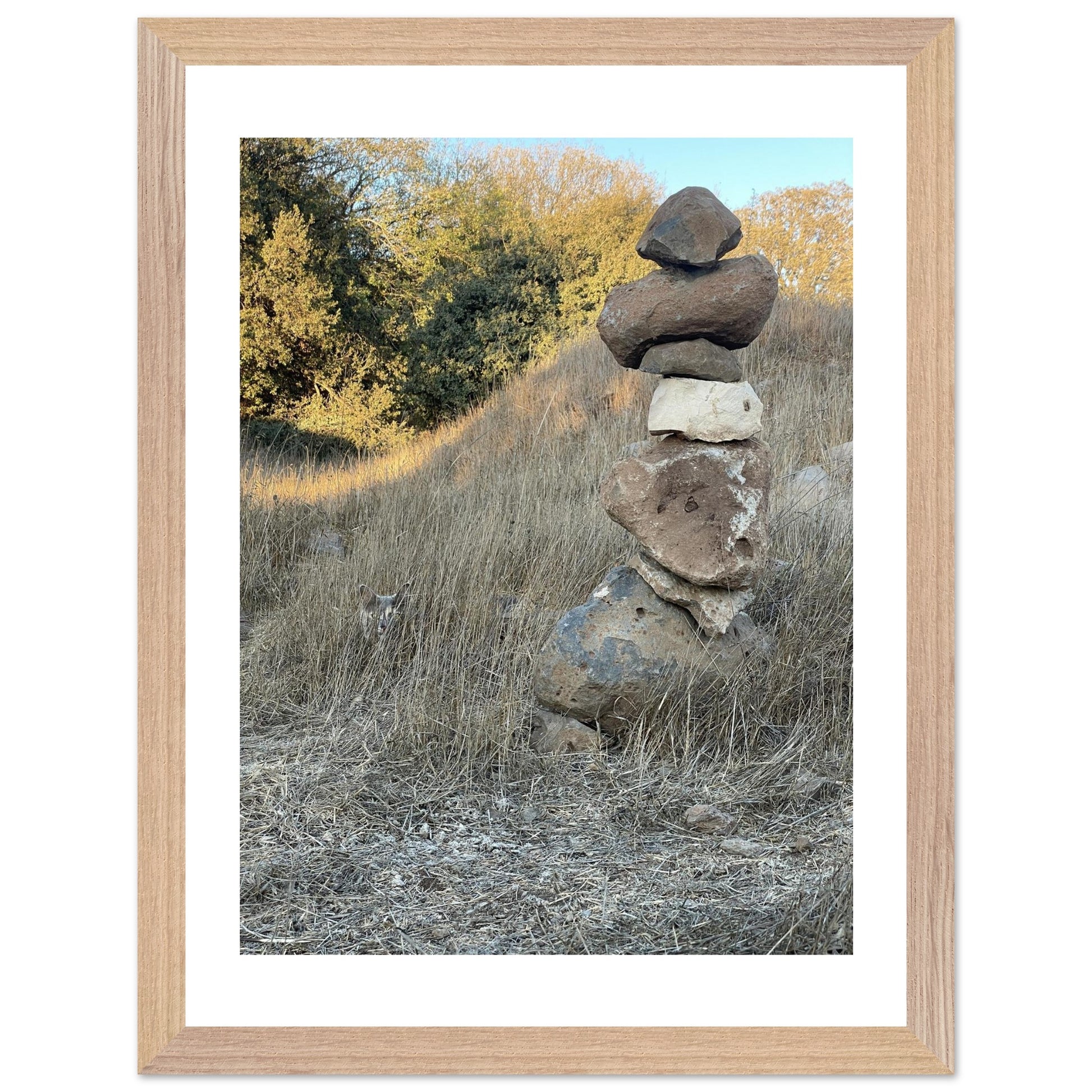 69105755-a77f-428f-93f5-ca3a2e2d7943