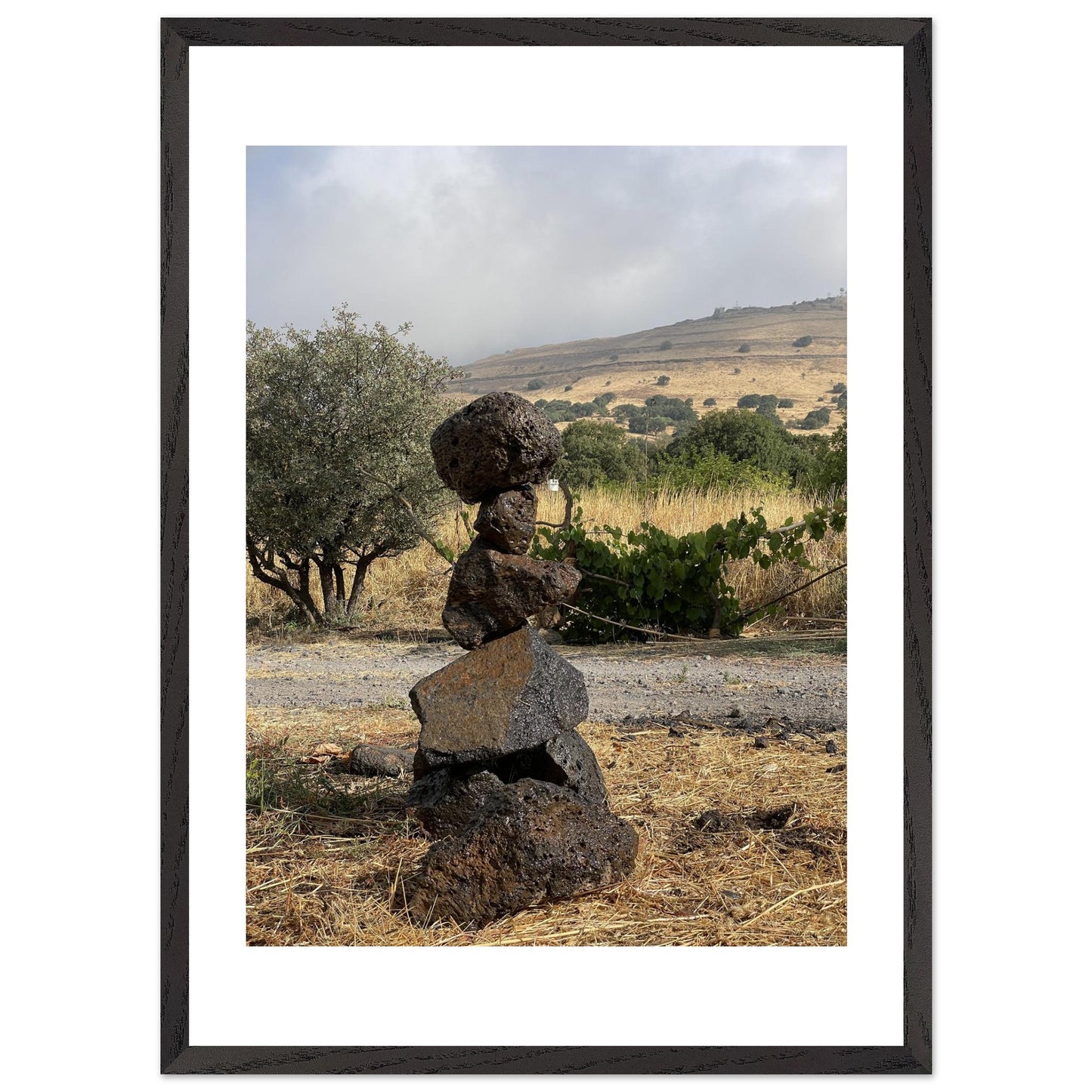 6e4799b3-1592-465c-8486-424ae2ce717d