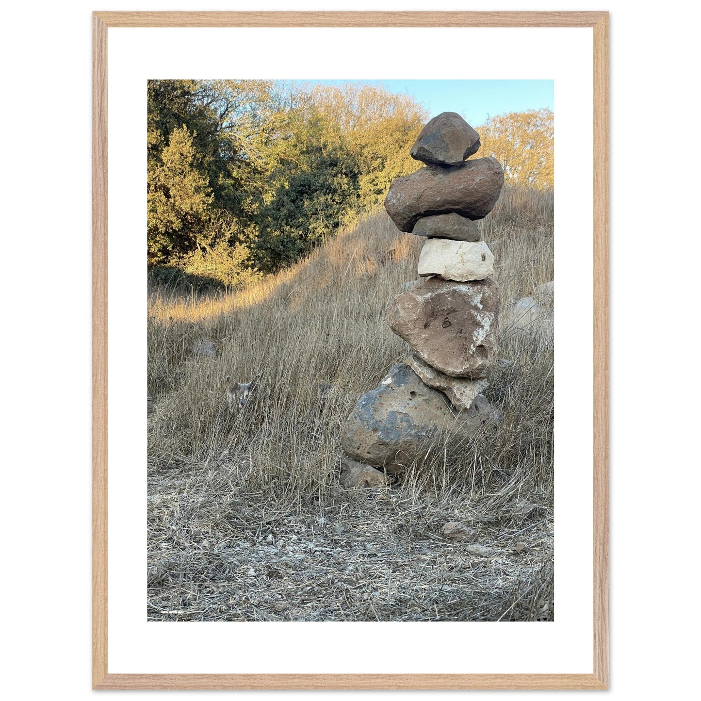 73c8ba9b-639c-4e4b-bfa6-0abdaec6dd89