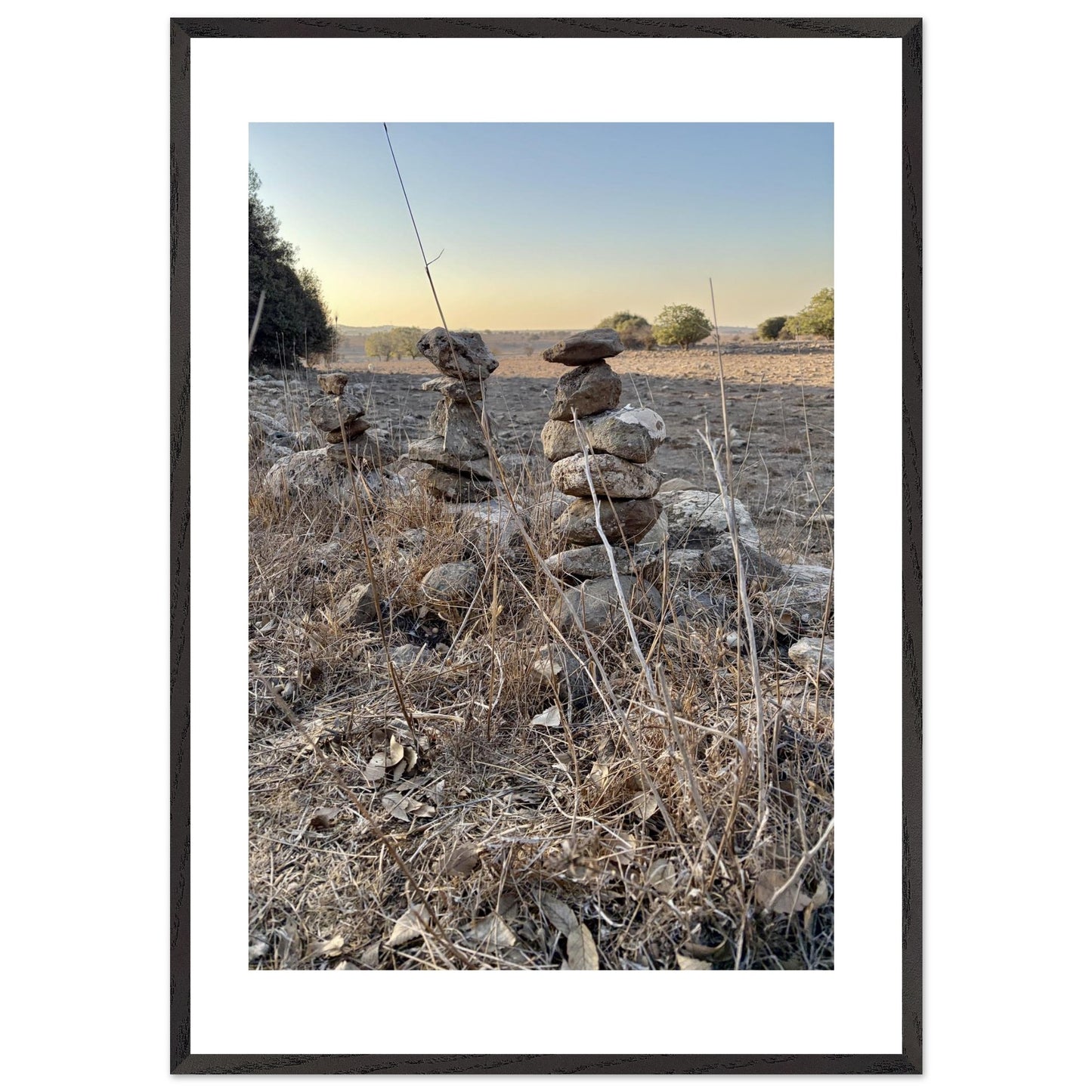 77105e36-0471-4ac9-b44a-fc1c77e22480