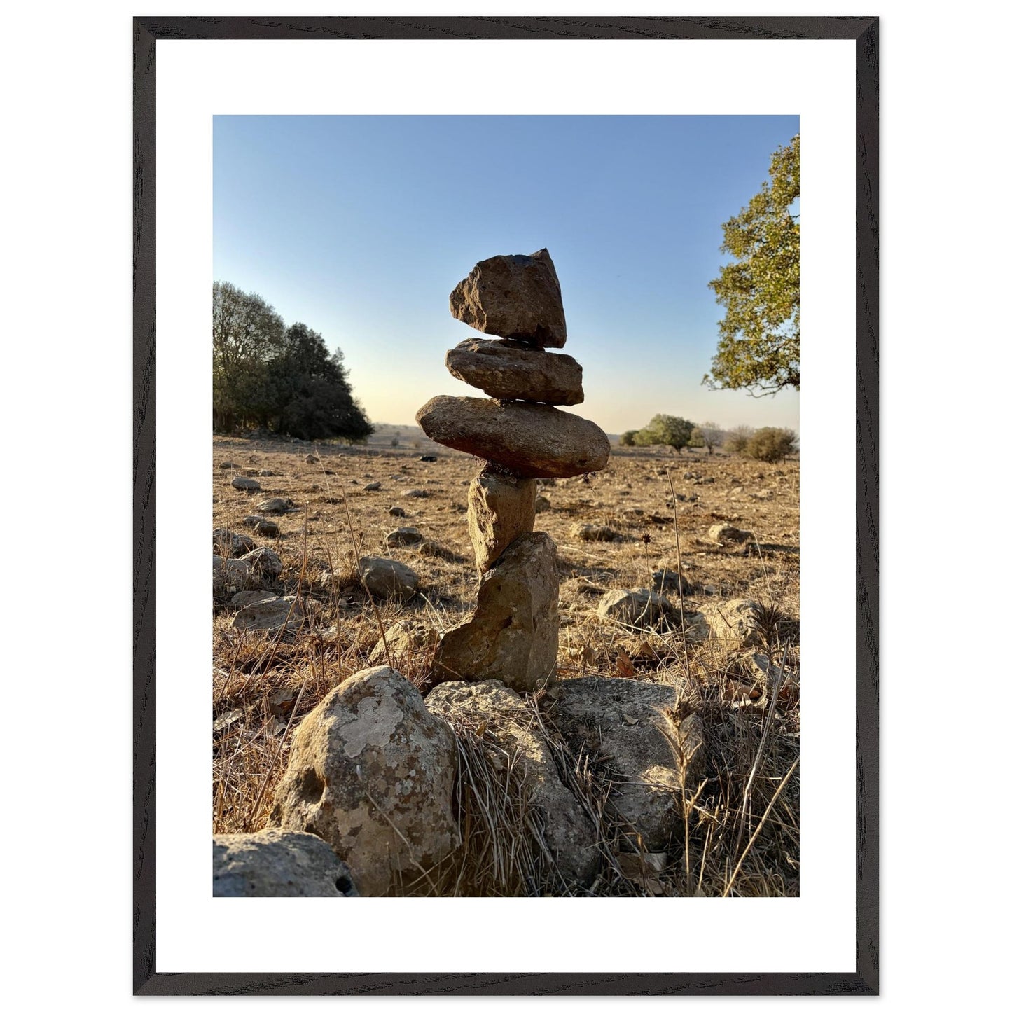 82bb76f6-d30f-449f-ac85-39f6917c127f