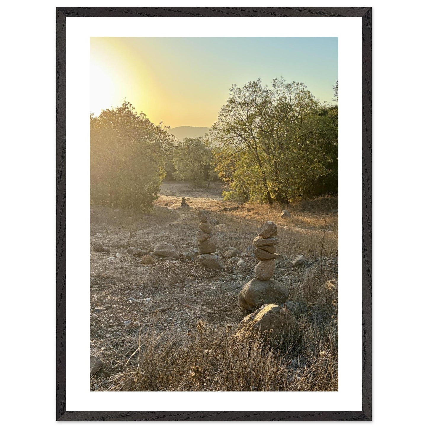 8c966a5f-7623-4cec-8f13-6eb9ecdd6fdb