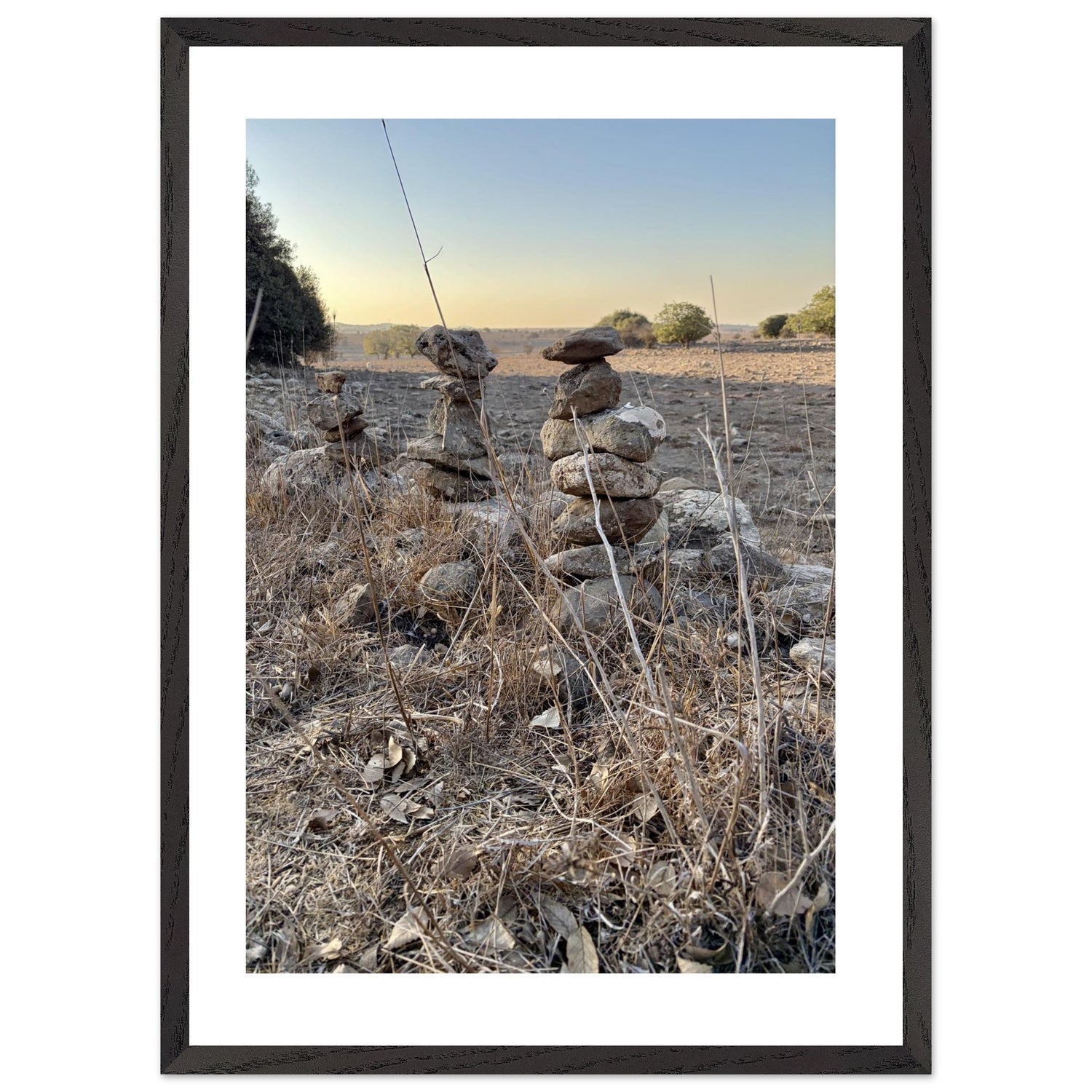 9964f6b2-e41a-47ab-9183-8c94c04c1316