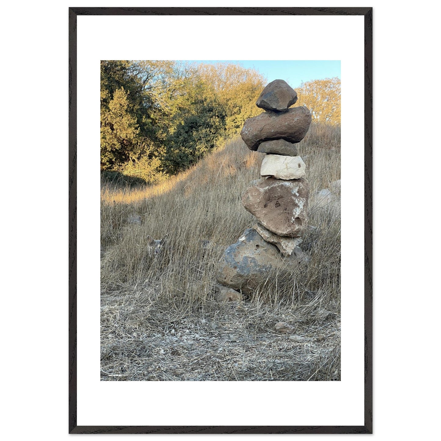 a49d7883-d911-446e-9a16-d347dbb374be