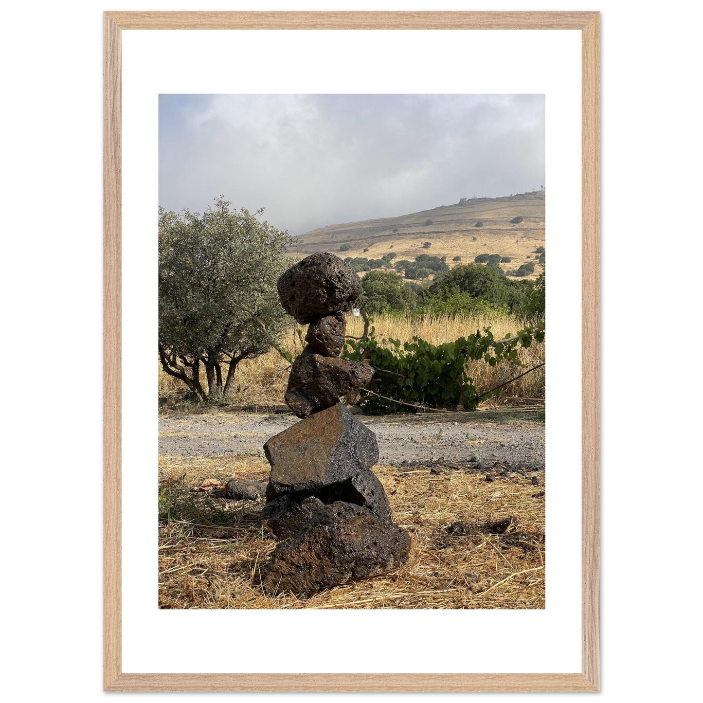 aa8e1391-2af4-419e-bdf5-e2a8b7c72942