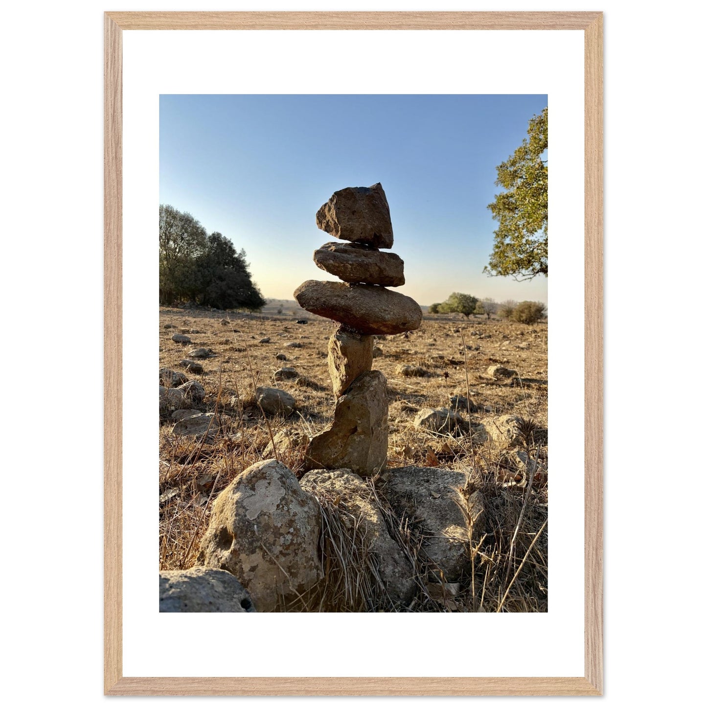 b1c88c67-4ec3-4aab-8f92-7890ef7093e8