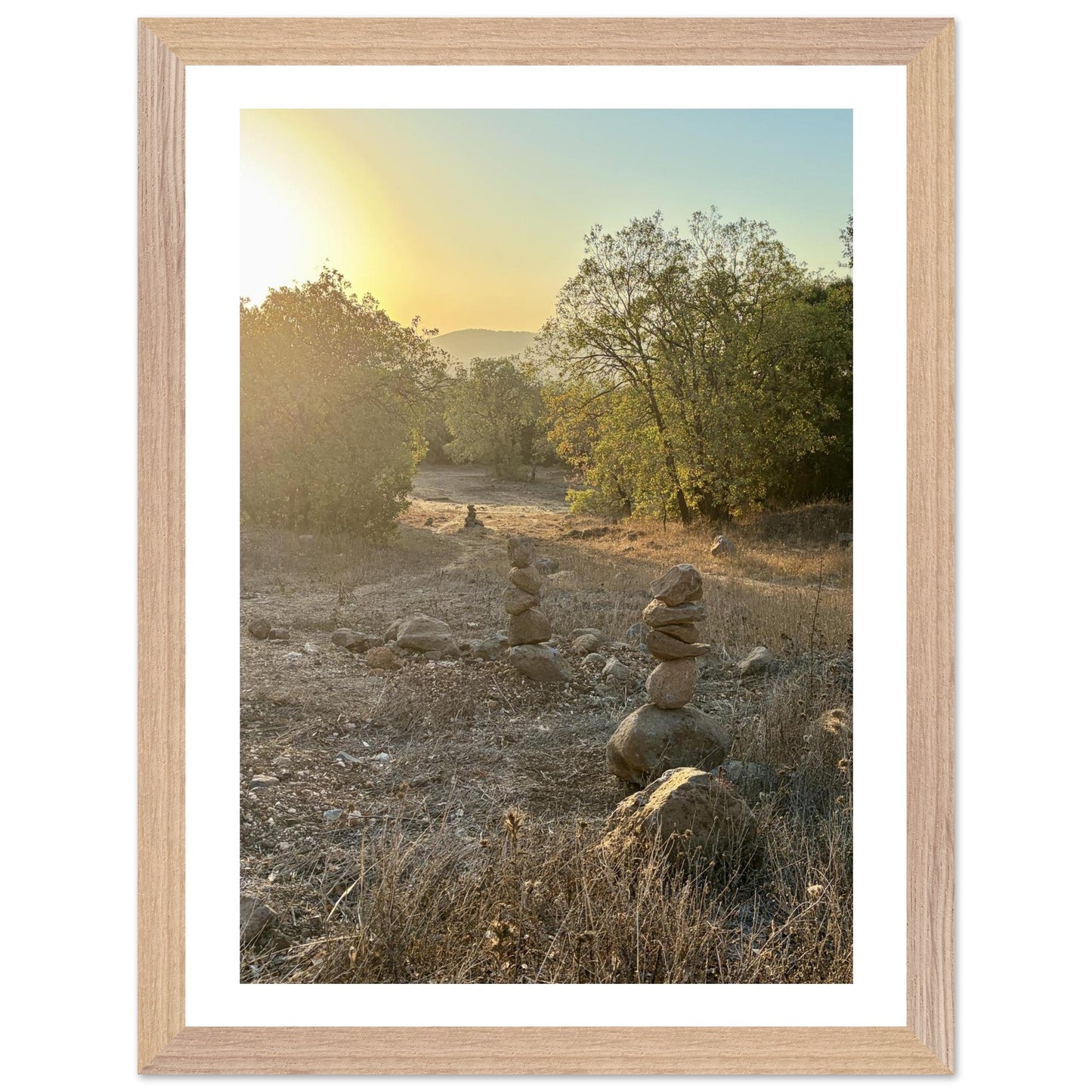 b225e8ae-dfe4-49b6-bdcb-41644050c09b