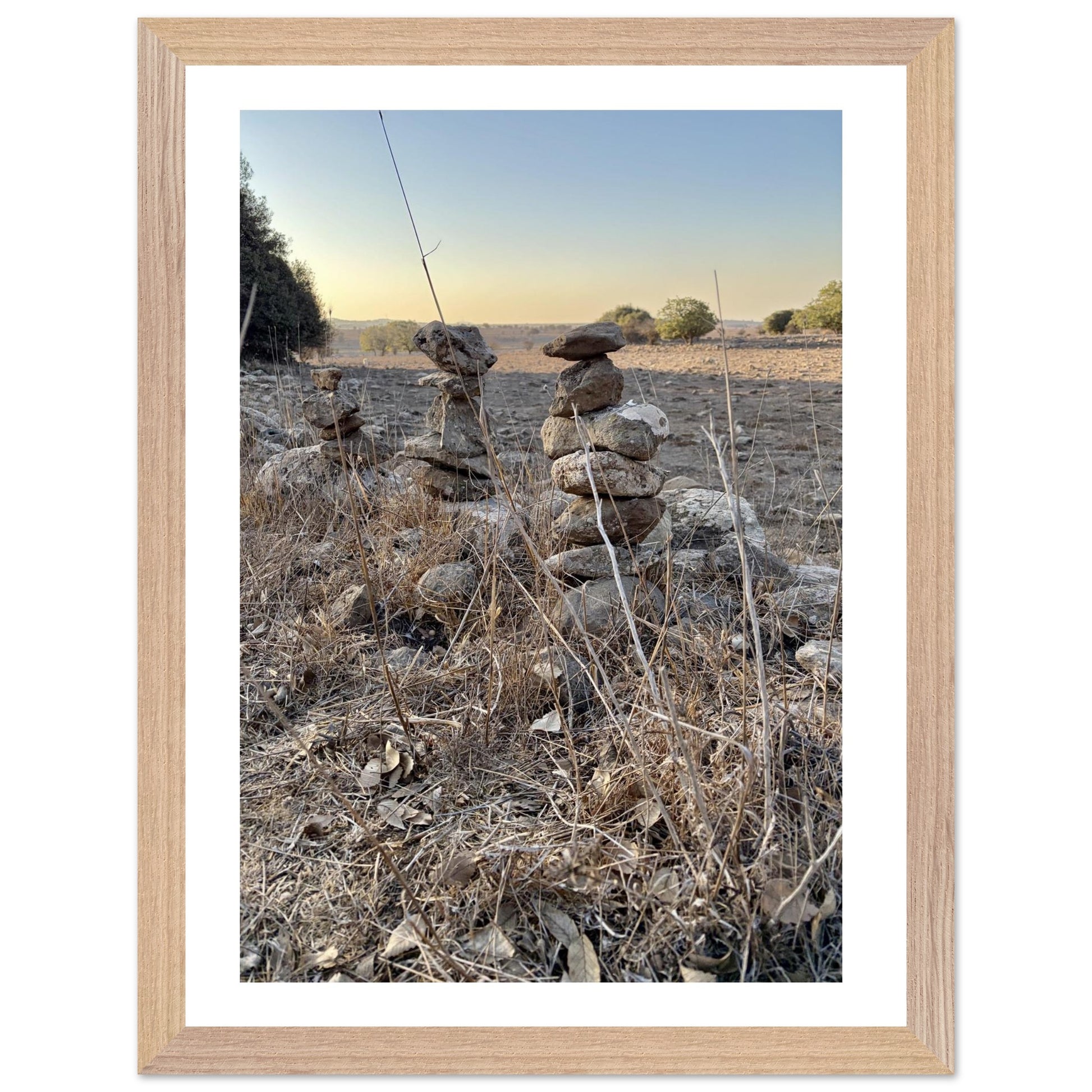 d338d3f7-2362-4ba1-919d-032b4b634199