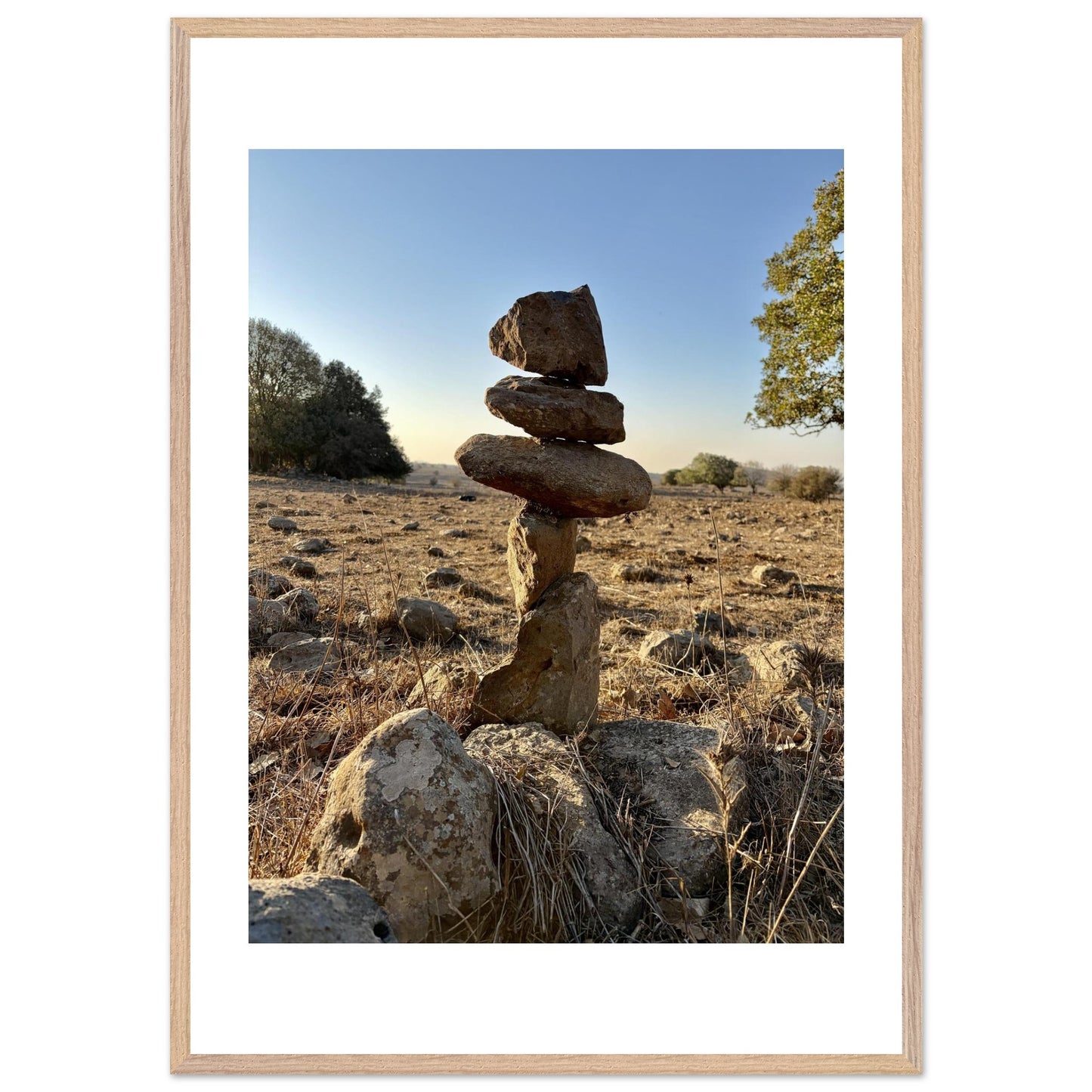 d6154074-83f4-4163-8b42-1c9652d98ed6