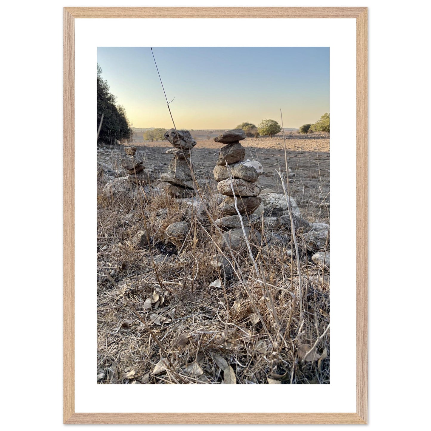 e50fa479-2b70-451f-967c-1db2651c8bd5