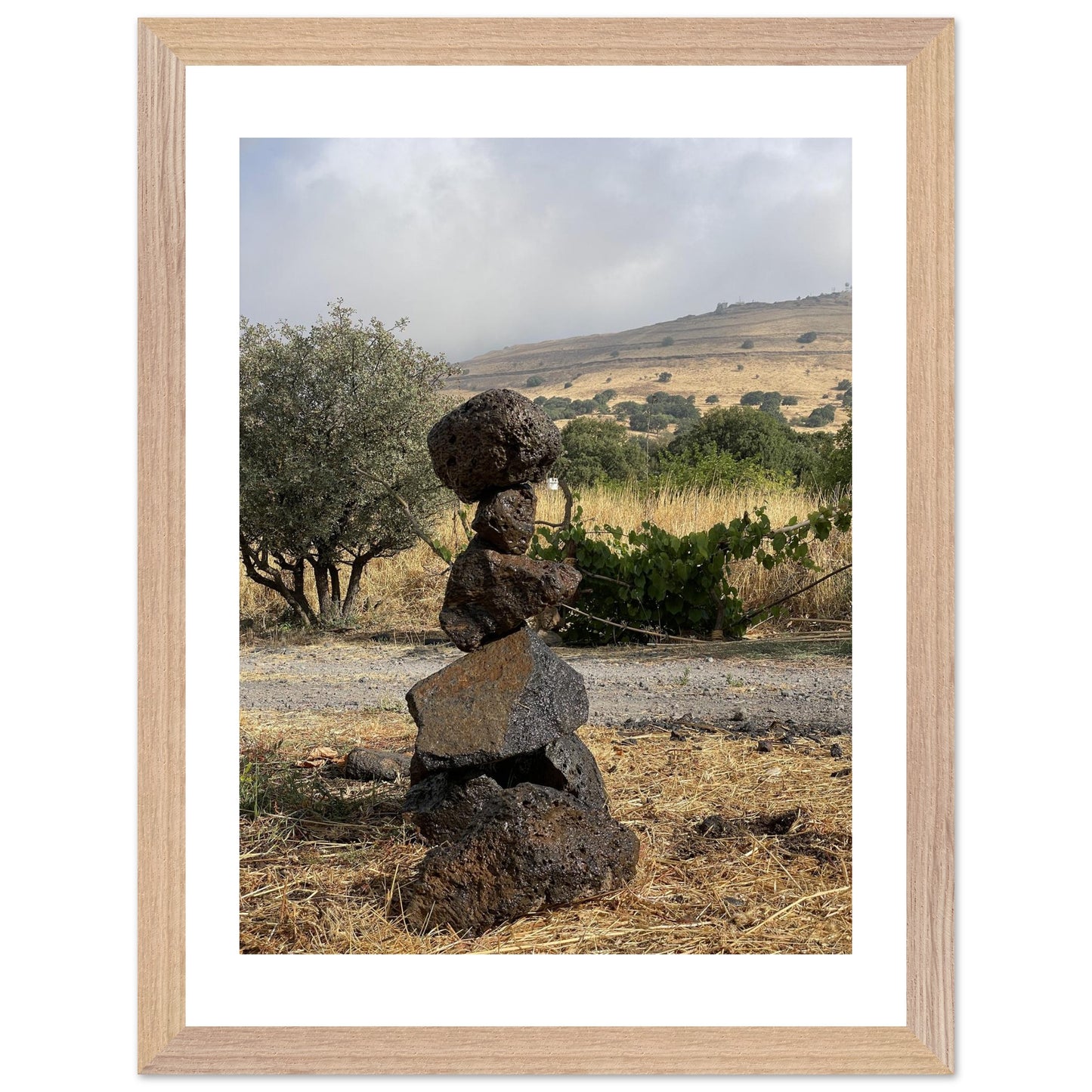 e615cf21-5ff9-47c4-996a-fd57d702d7e0