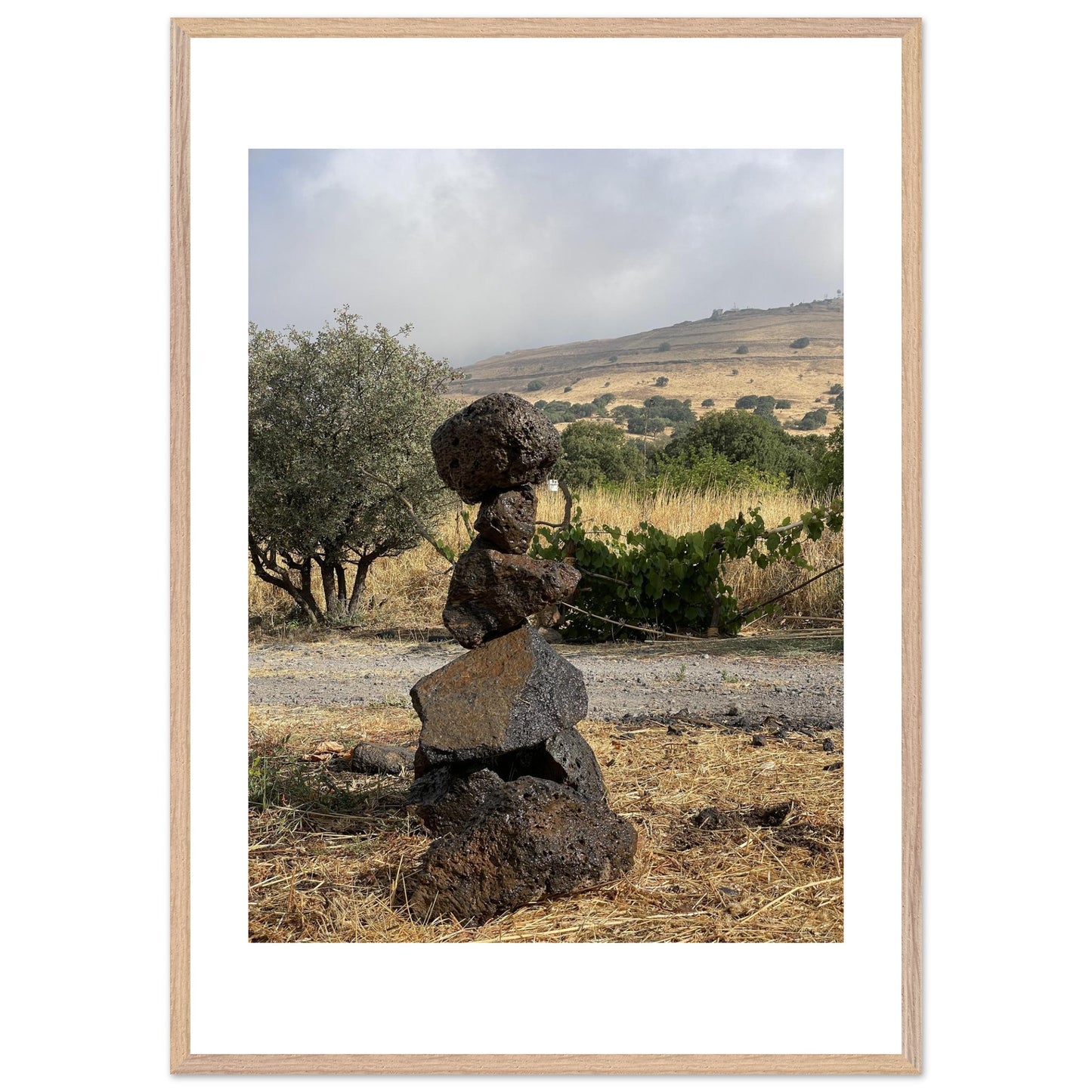 e7c39dfc-09b7-48c1-8087-a738081c39a7