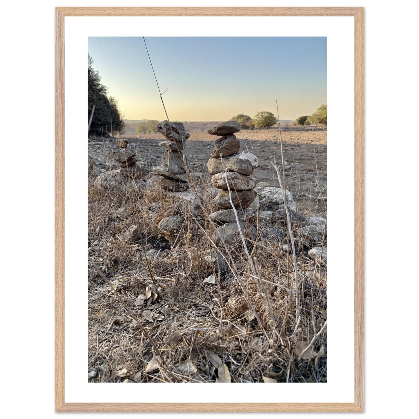 ed4b153d-c55a-41b0-88a6-8ed143d43c14