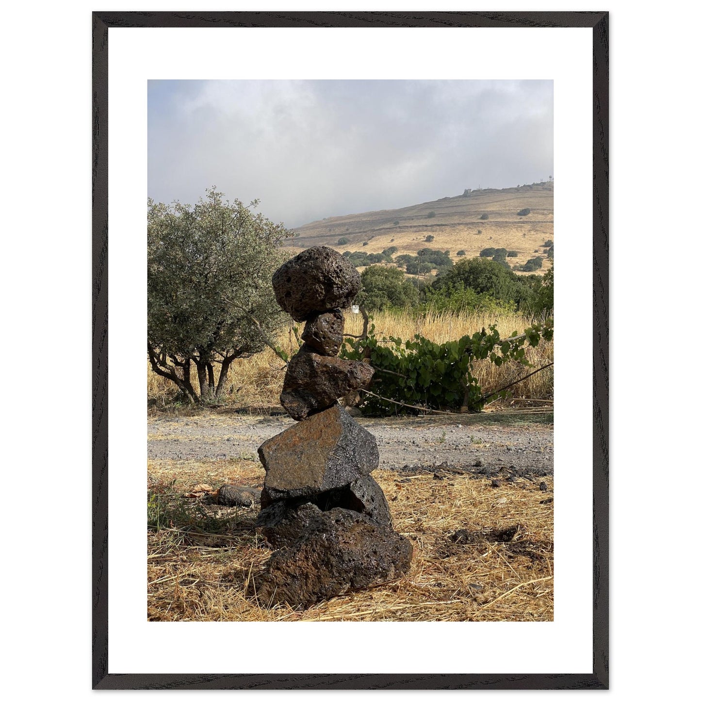 f1275f8f-e60a-4ade-9772-b073fba900c2